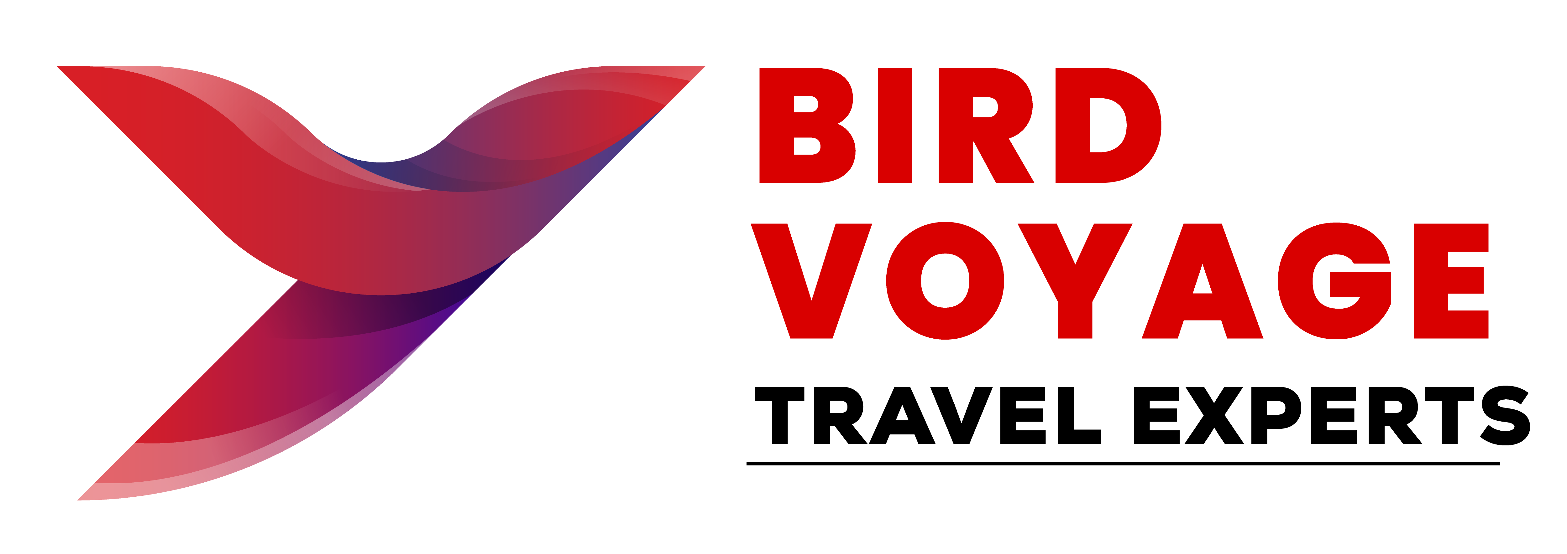 Bird Voyage